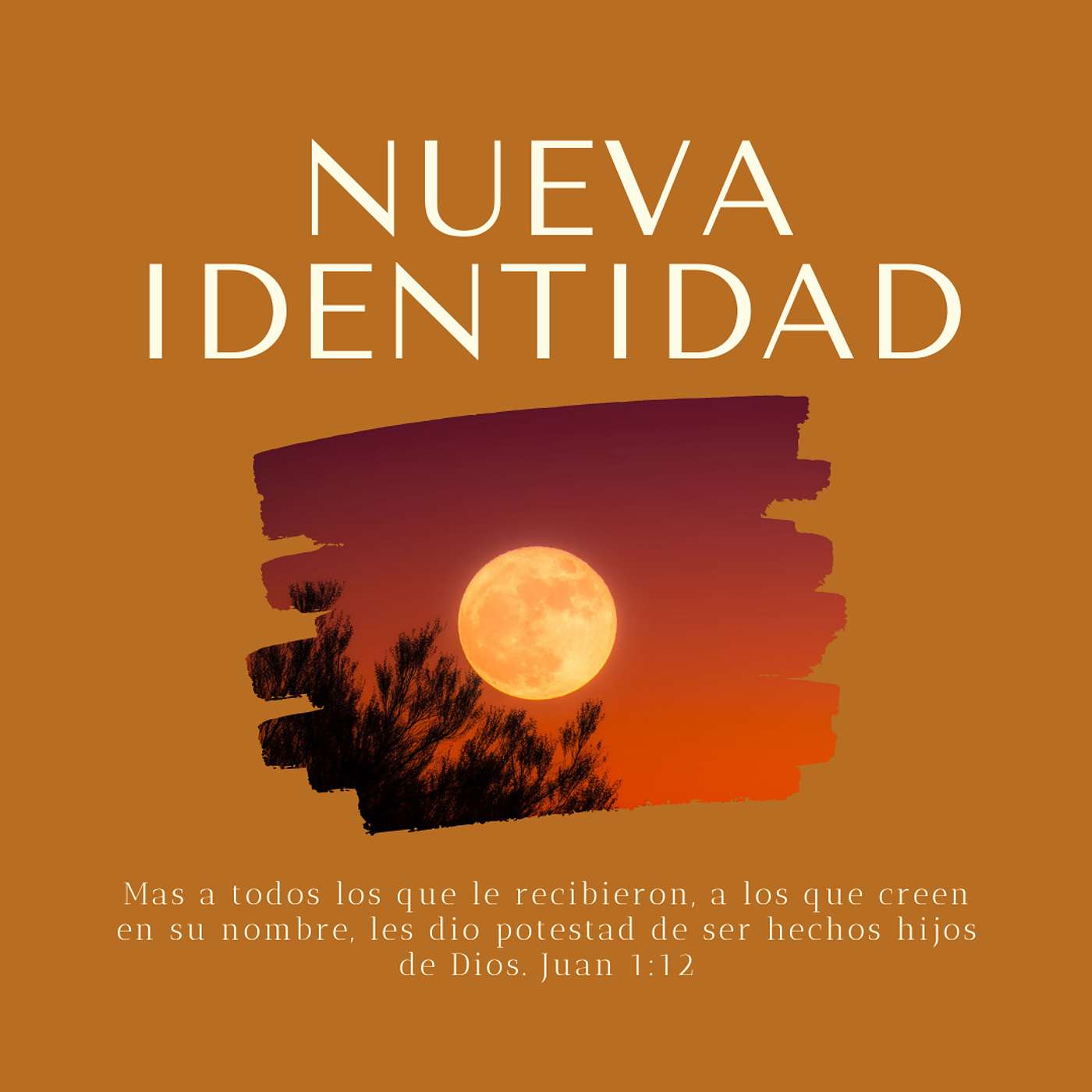 Nueva Identidad - Parte 1