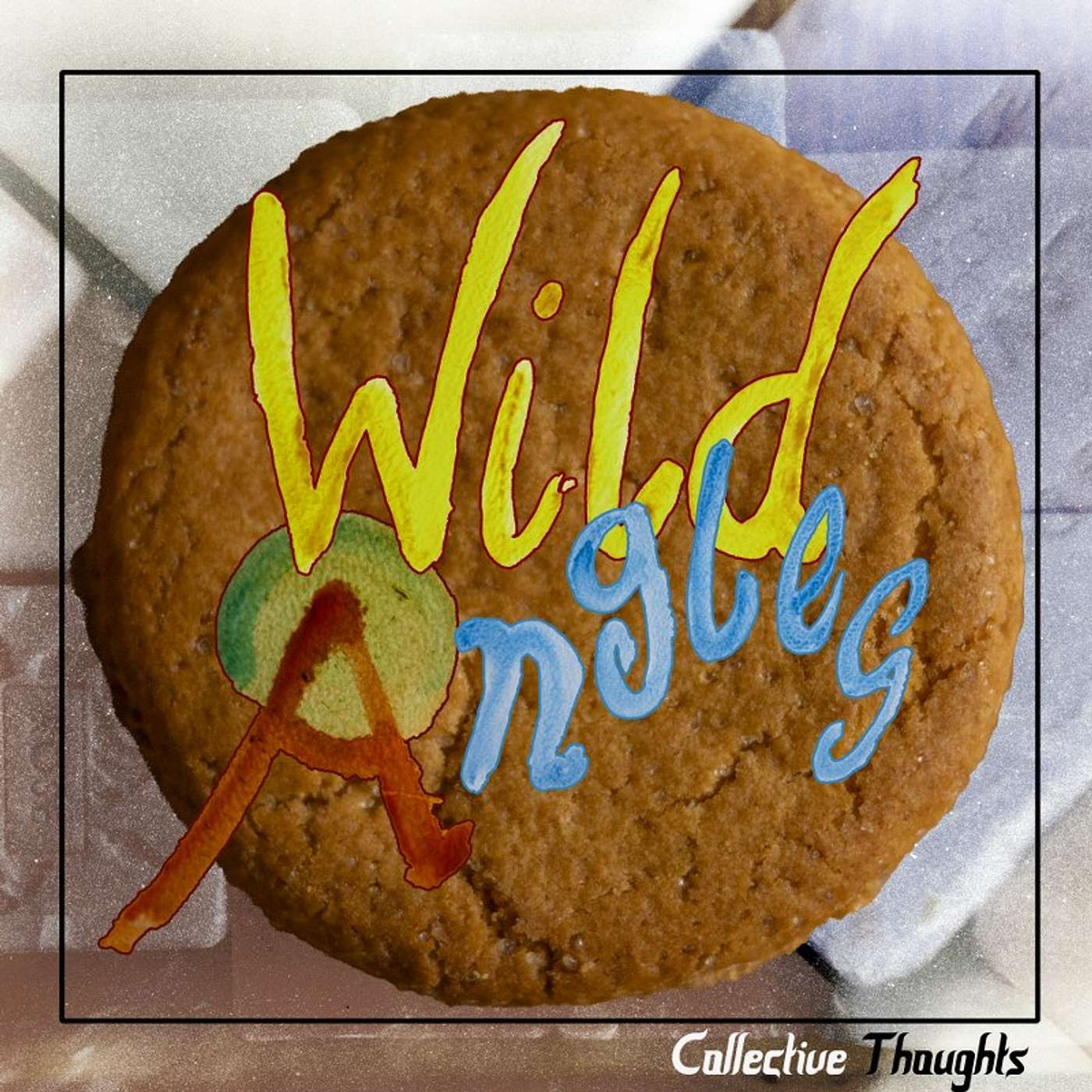 Wild Angles cover art