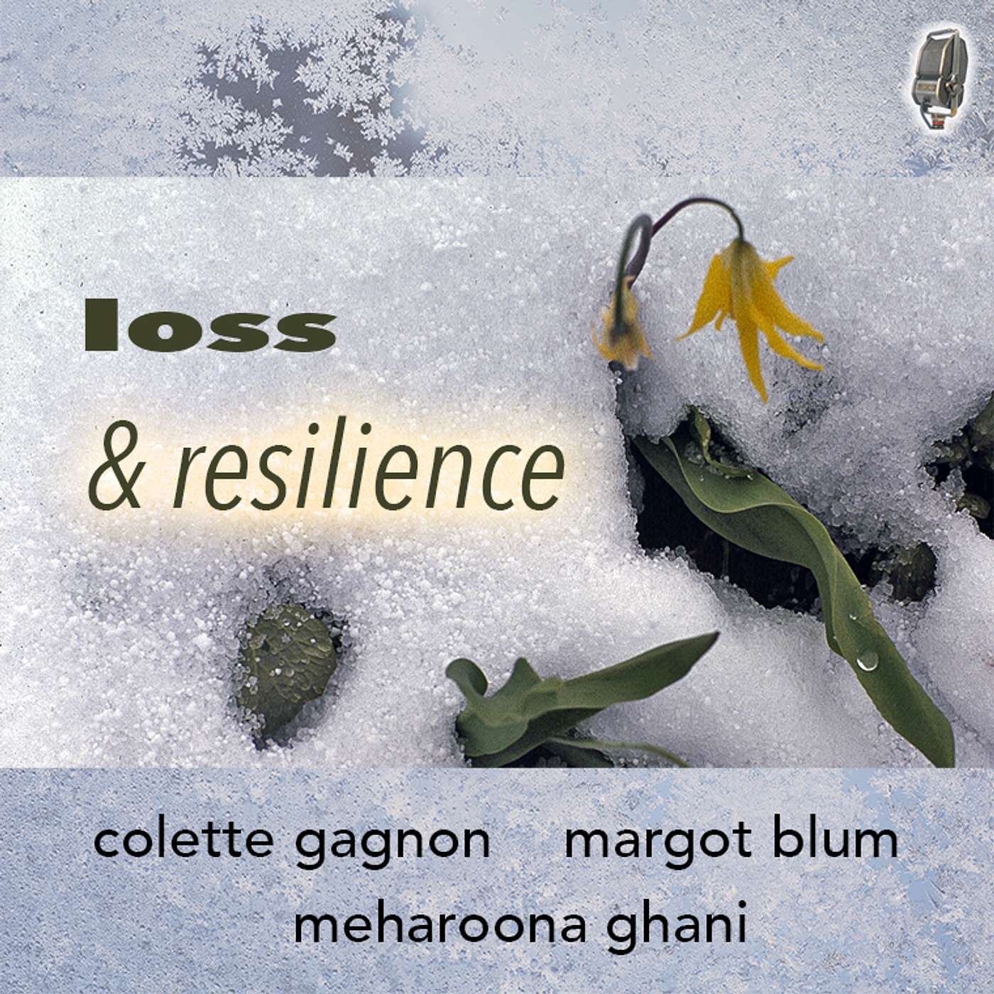 P025 Loss and Resilience