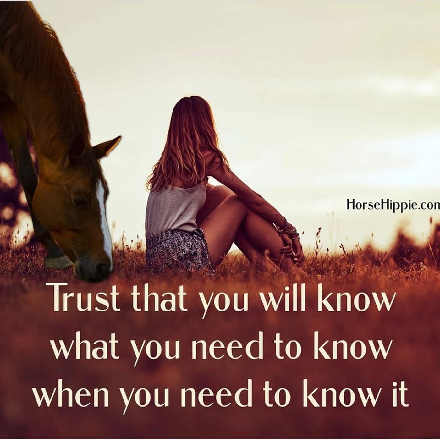 Learning to Trust episode artwork