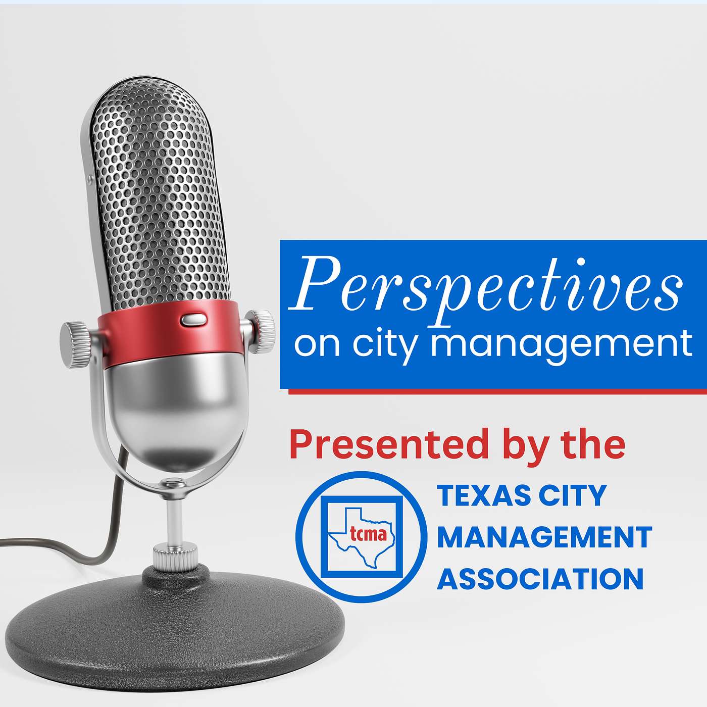 Perspectives on City Management
