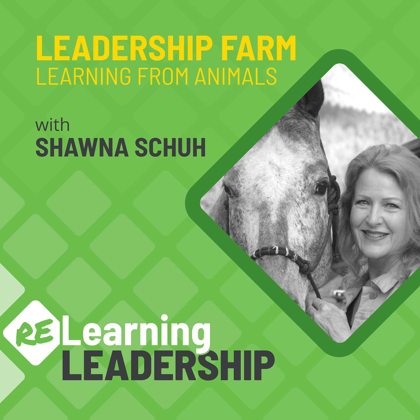Relearning Leadership
