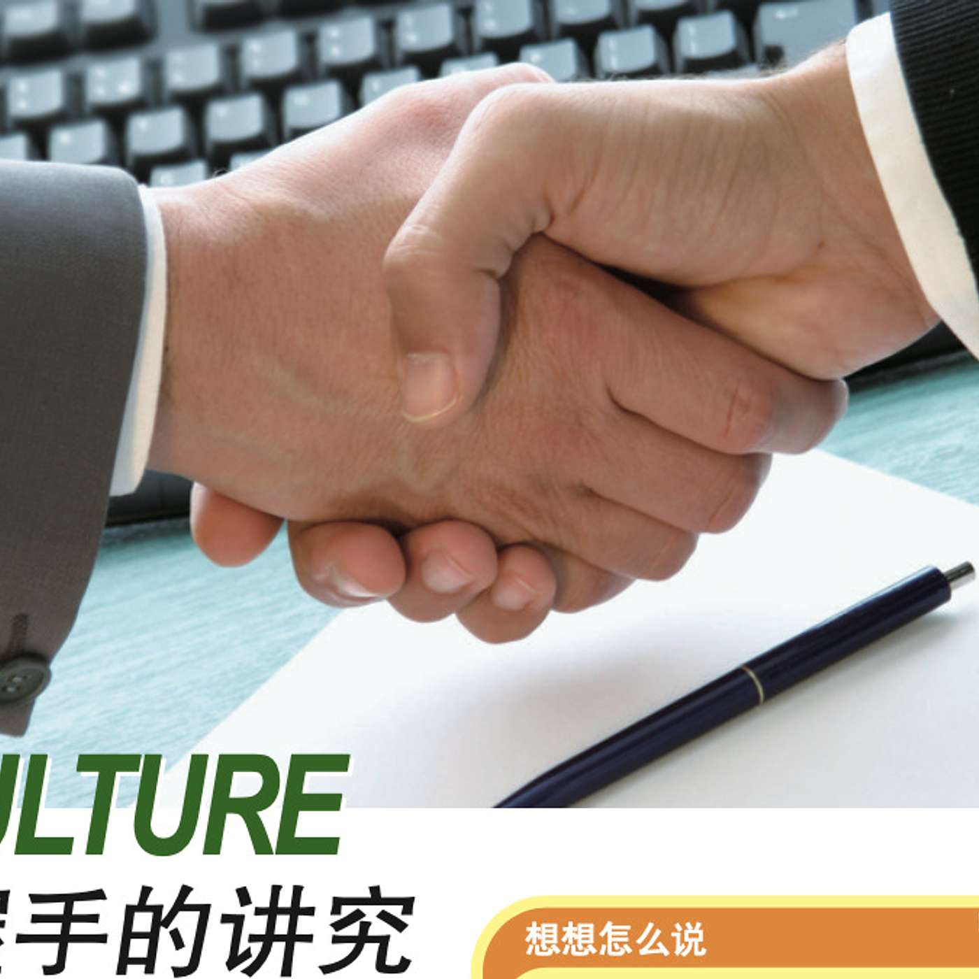 Textbook Audio L3-Culture 握手的讲究 episode artwork