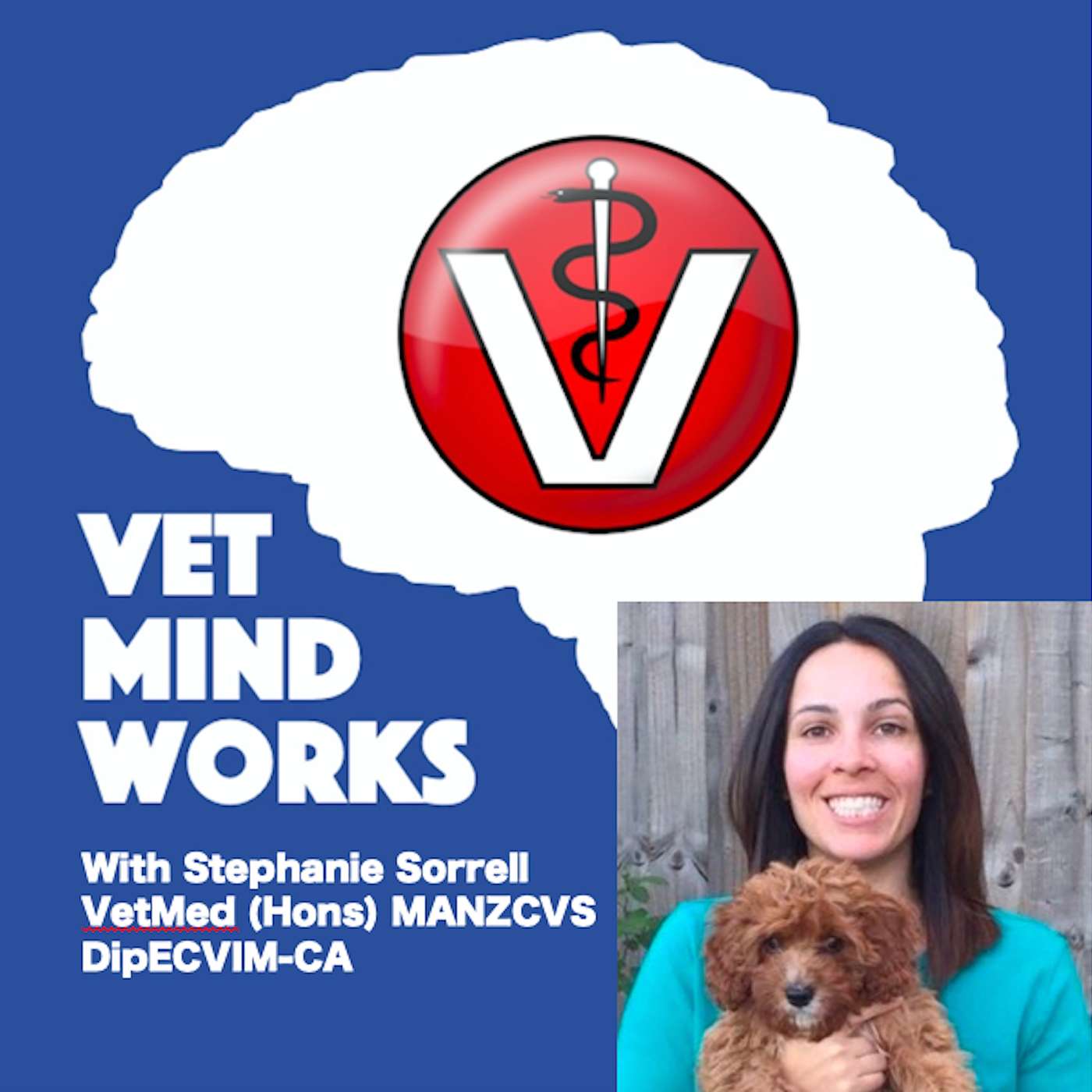 Vet Mind Works Podcast