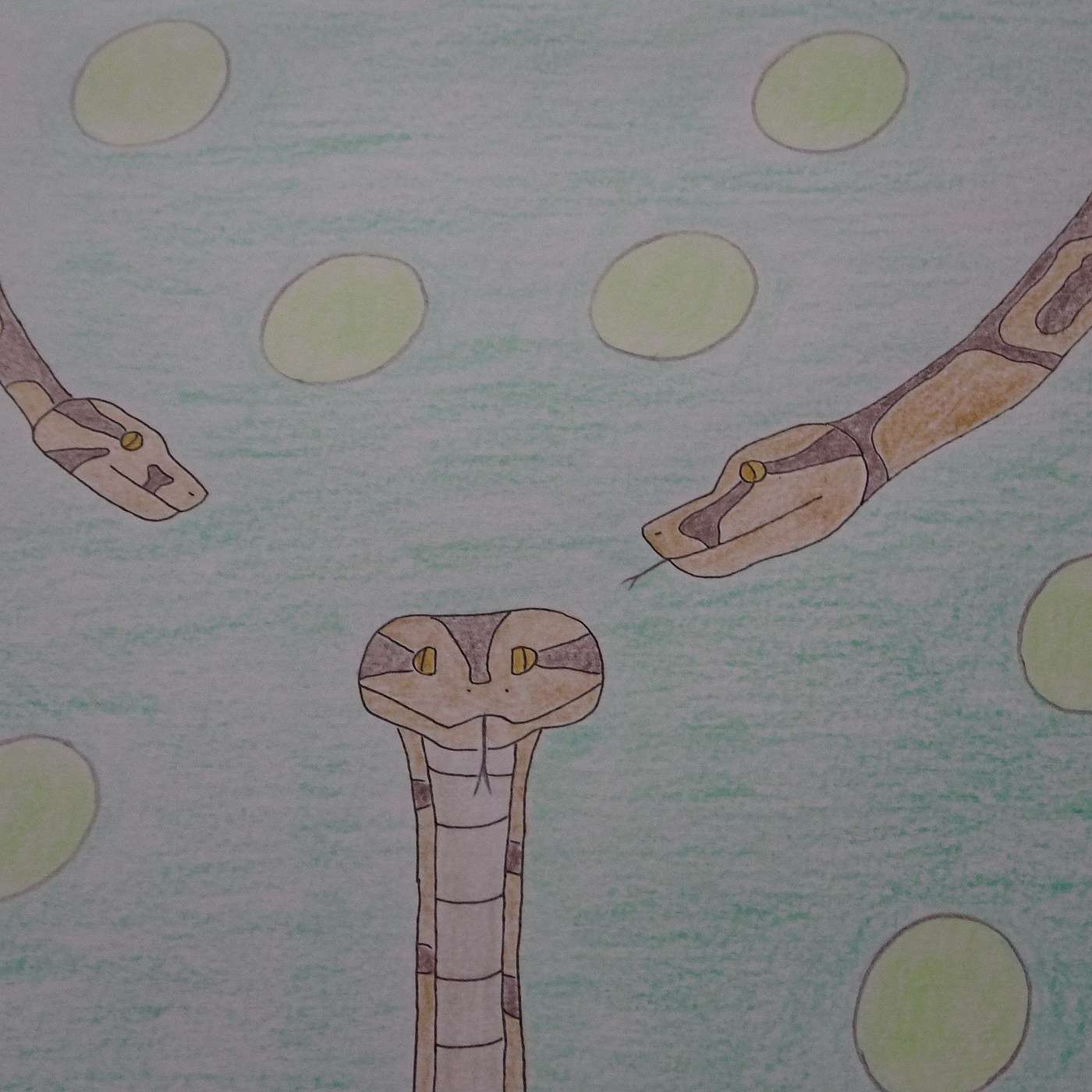 52. Terug naar normaal