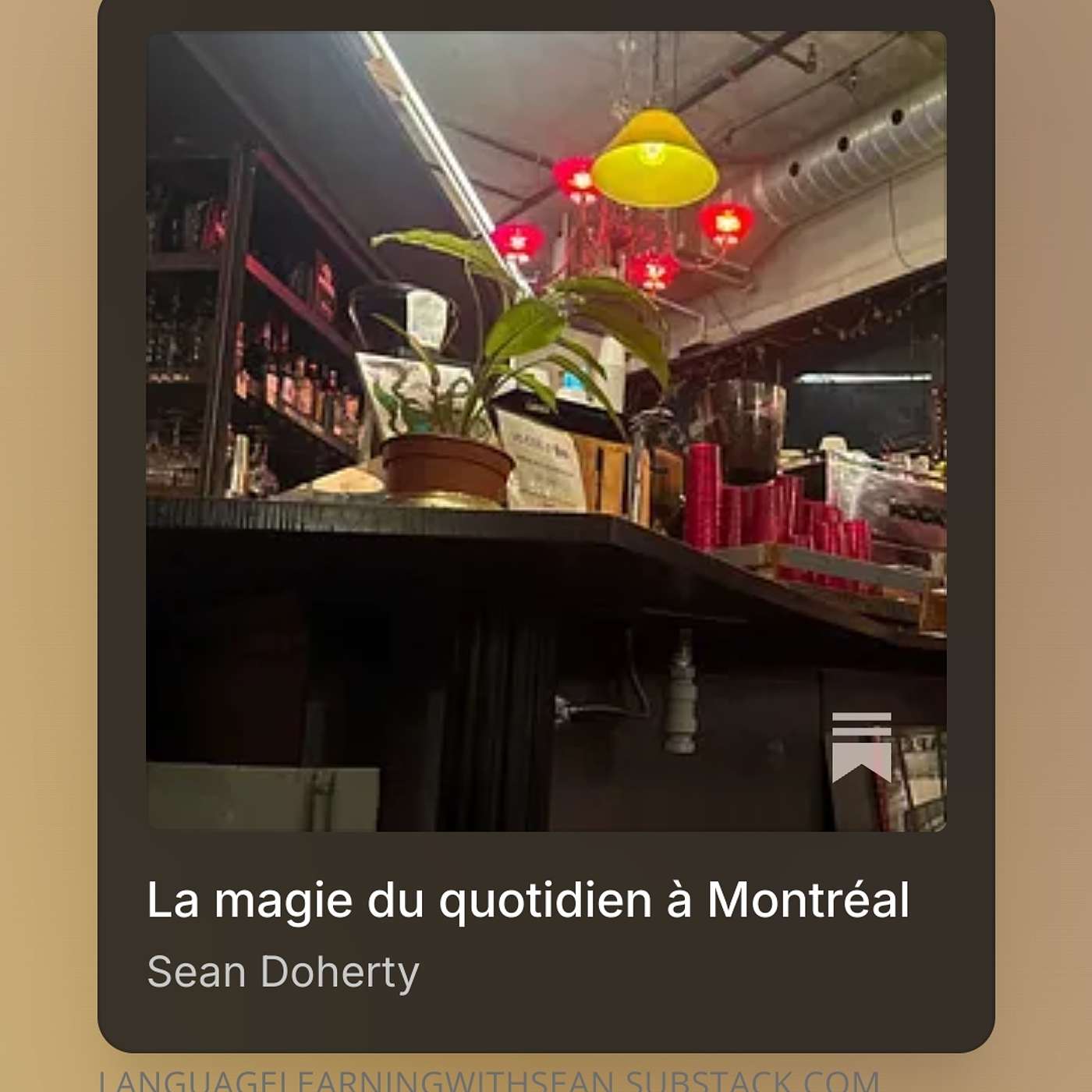 11 - La Magie Multilingue à Montréal