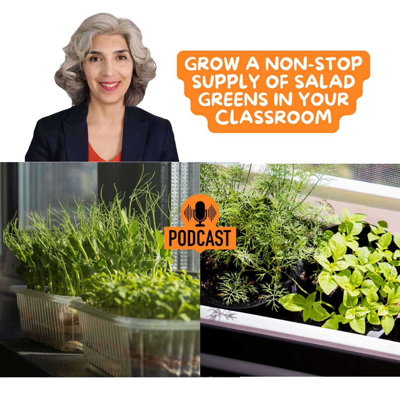 64: Grow a Non-Stop Supply of Salad Greens in Your Classroom