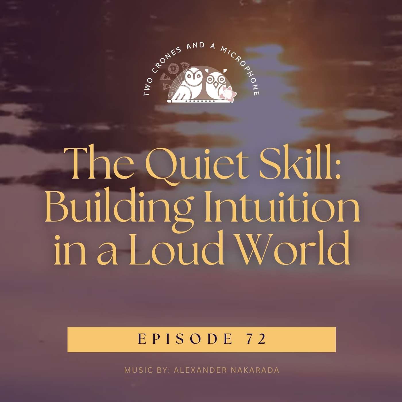 Podcast 72: The Quiet Skill: Building Intuition  in a Loud World episode artwork