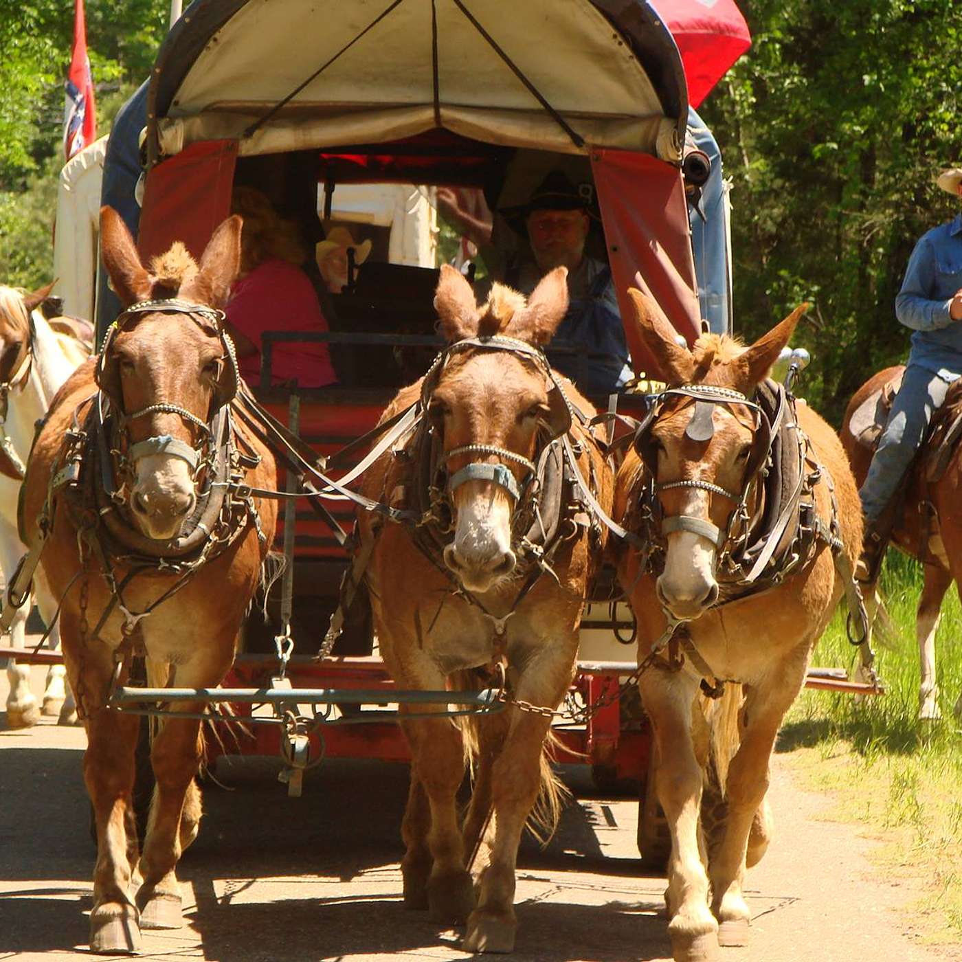 Frontiersman, Pro Gambler Mike Smith on Mule Talk!