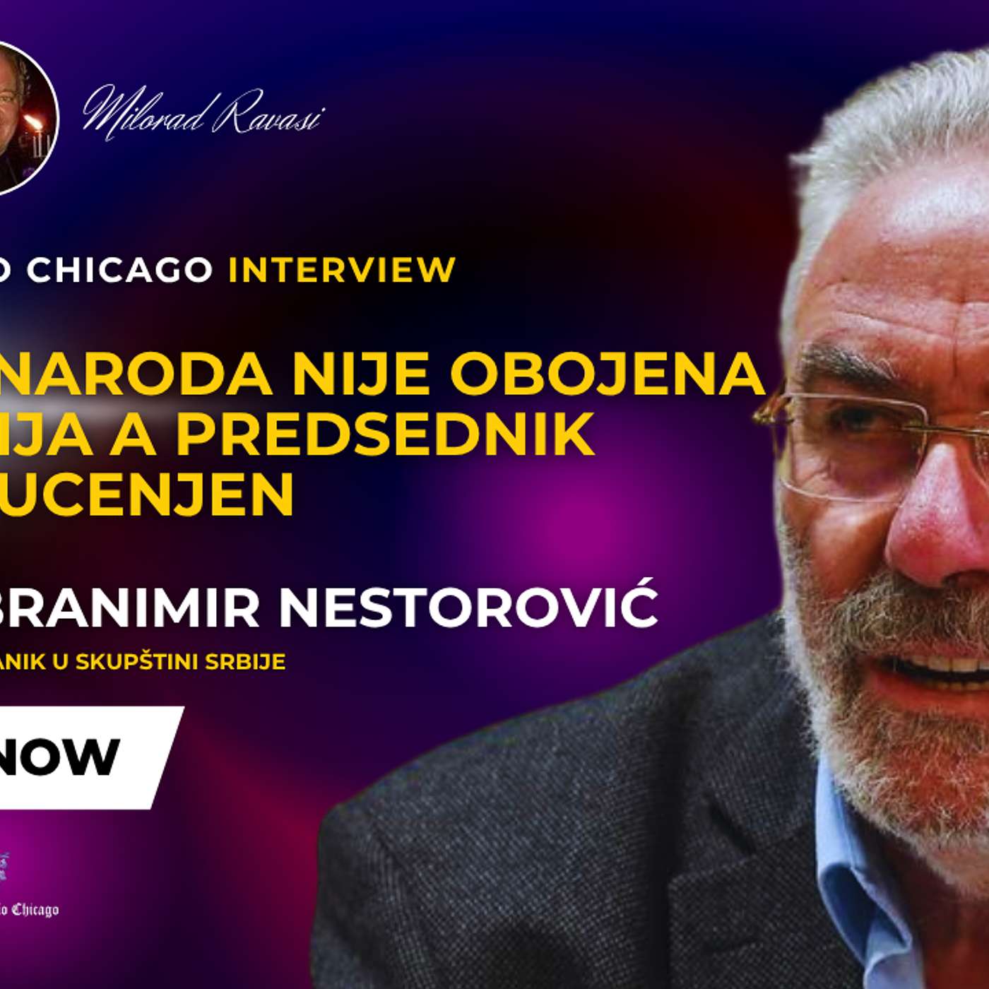 NEW! PROF DR BRANIMIR NESTOROVIĆ - POBUNA NARODA NIJE OBOJENA REVOLUCIJA/VUČIĆ JE UCENJEN 6.6.25
