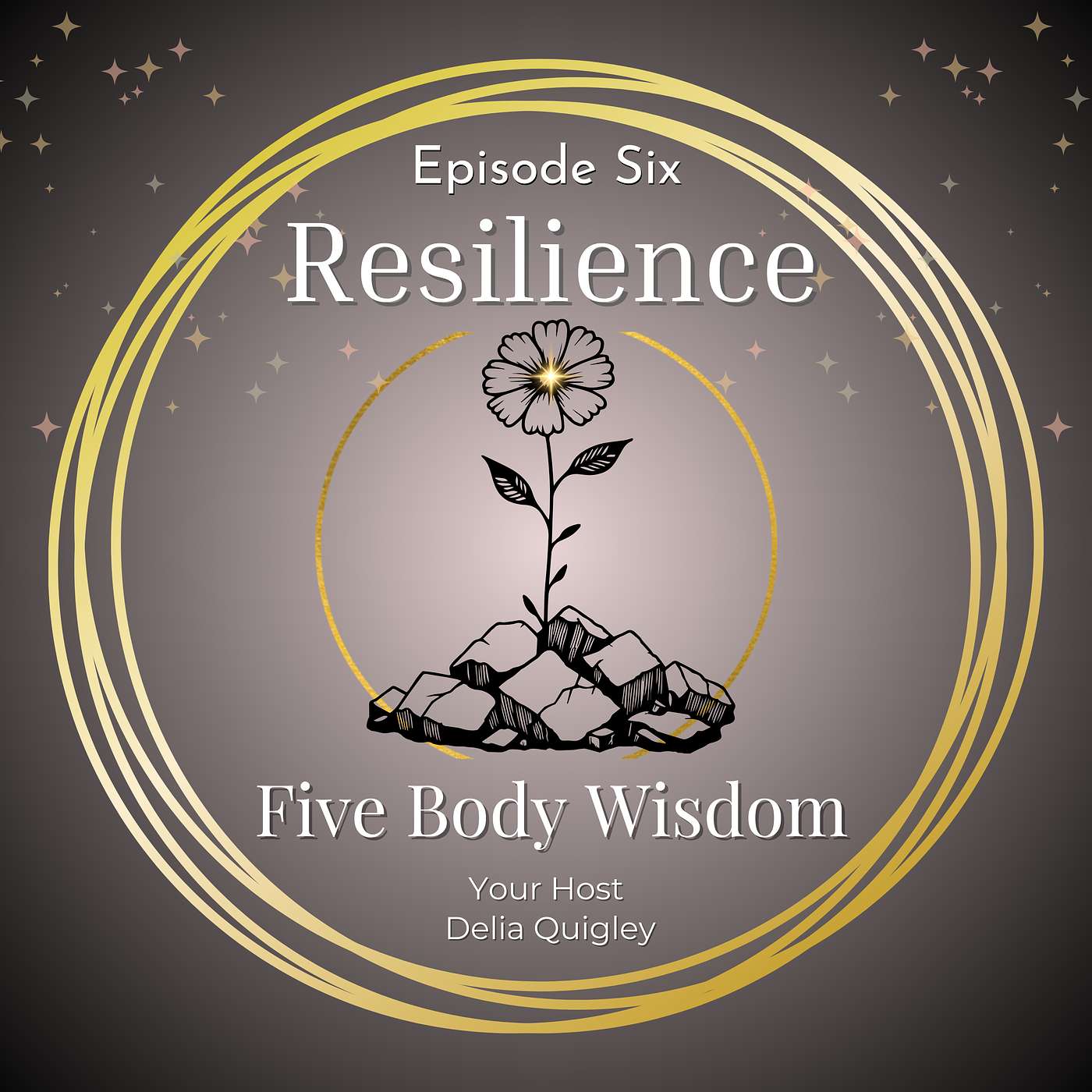 Five Body Wisdom