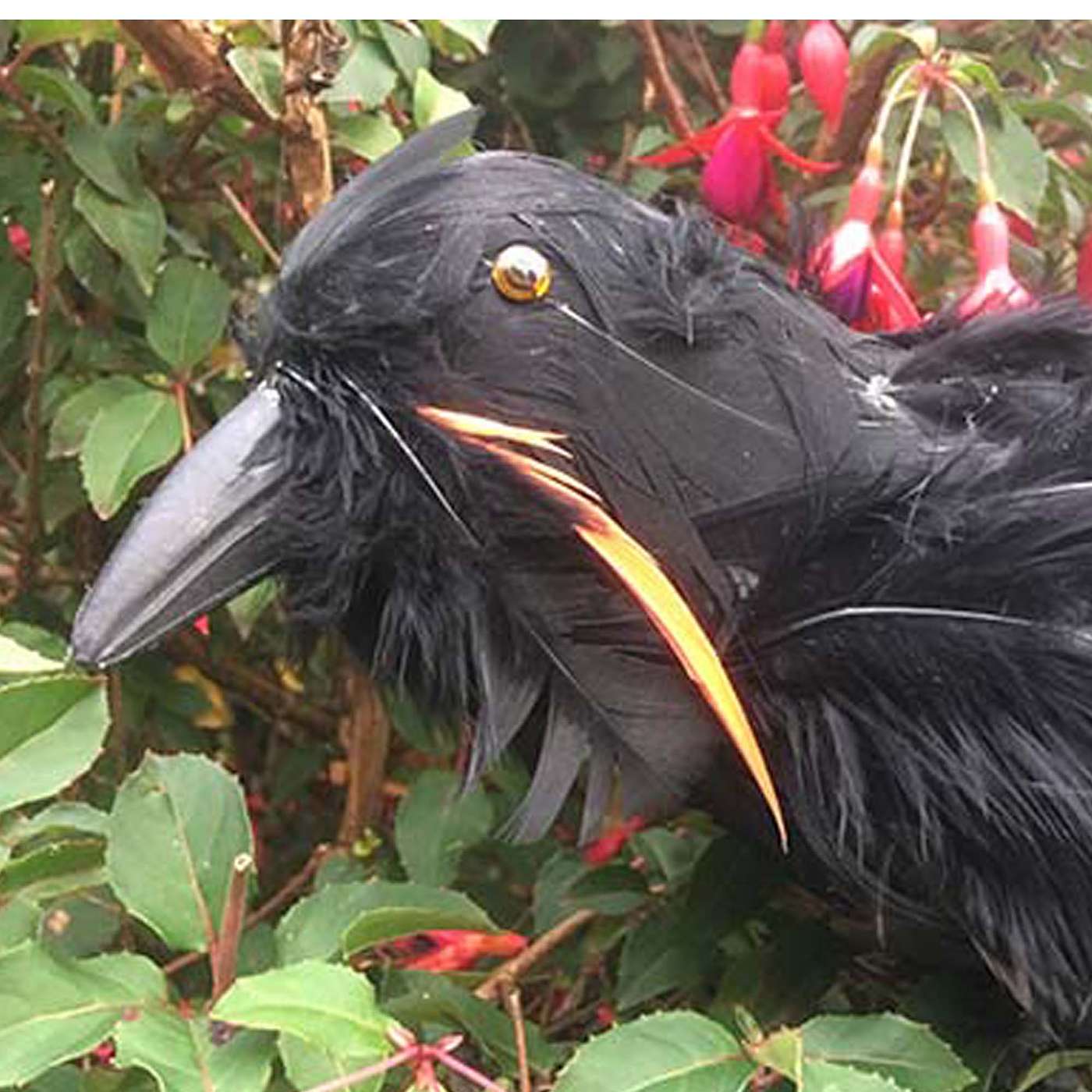 Episode 1 - Part 2 - Lord Schlatt from the Island of Schlatt Episode 1 - Part 2 - Lord Schlatt from the Island of Schlatt