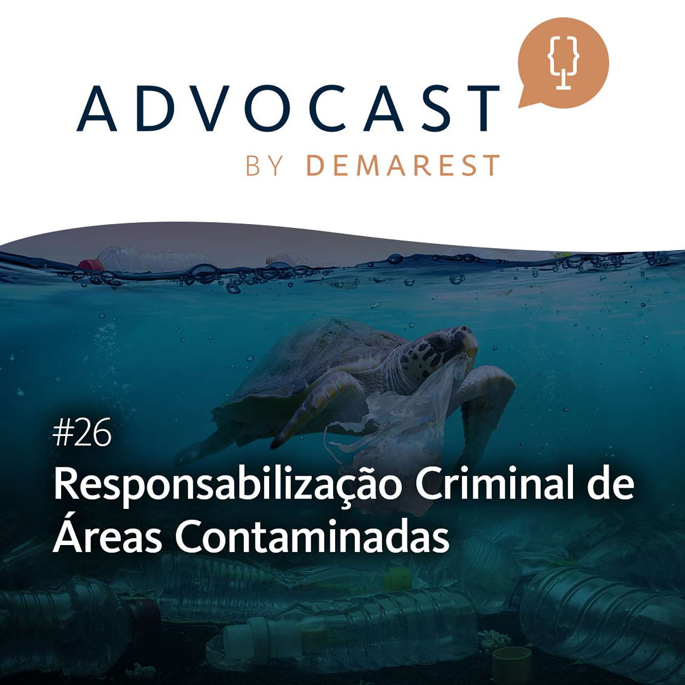 Advocast by Demarest