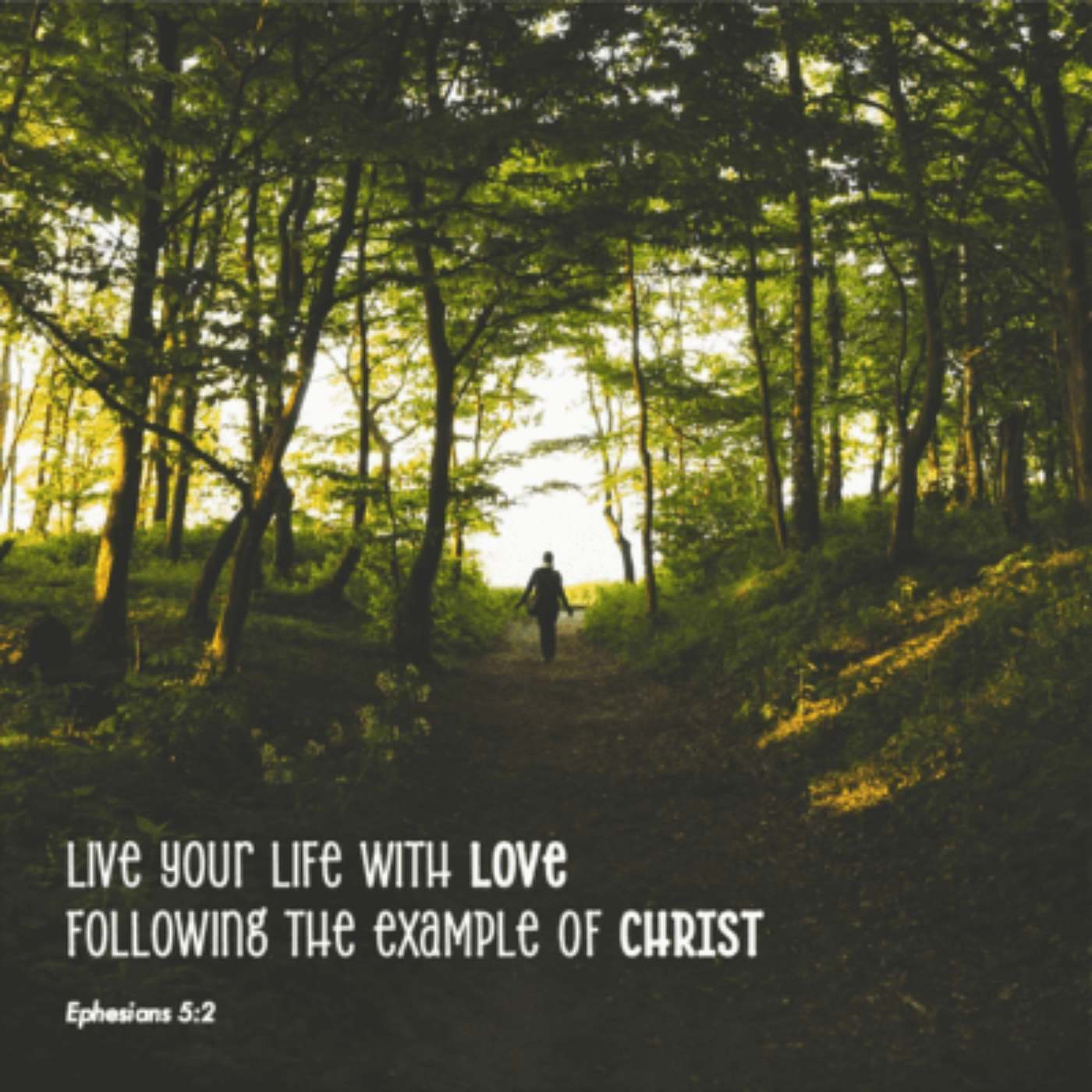 8-11-24 A Way of Life: Saying Without Speaking [Twelfth Sunday After Pentecost] episode artwork