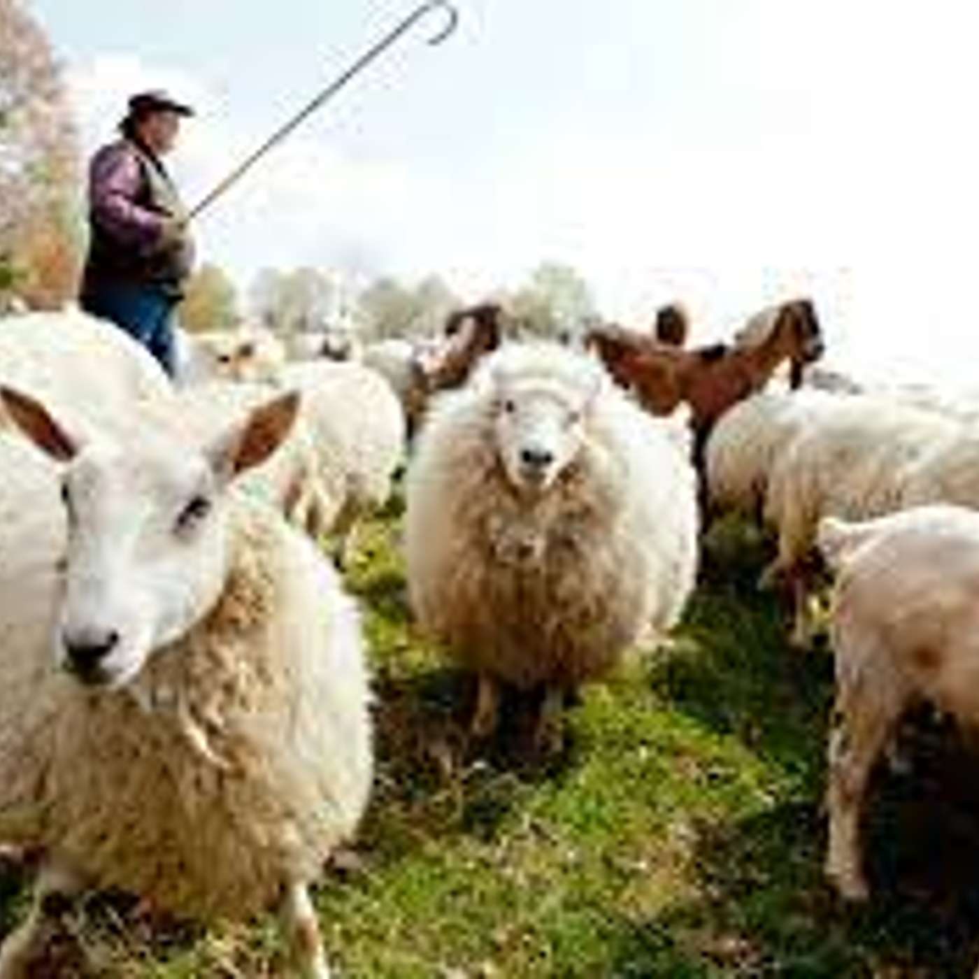The Lord Is My Shepherd Part 4