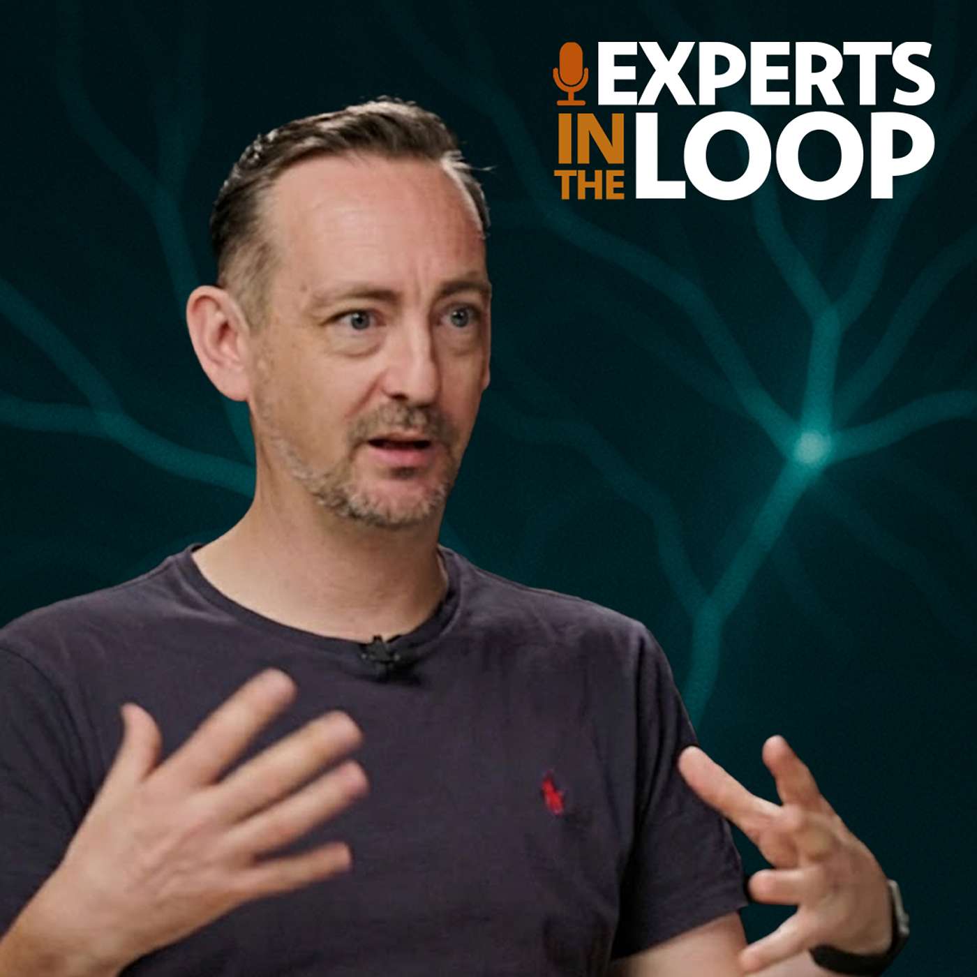 Experts in the Loop