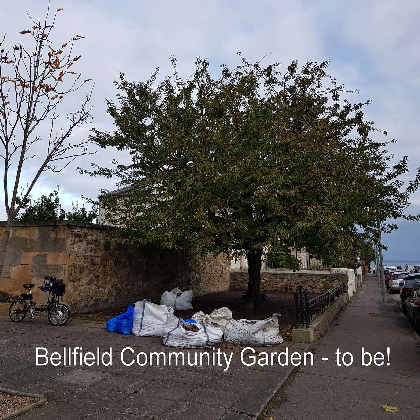 183 Bellfield Community Garden