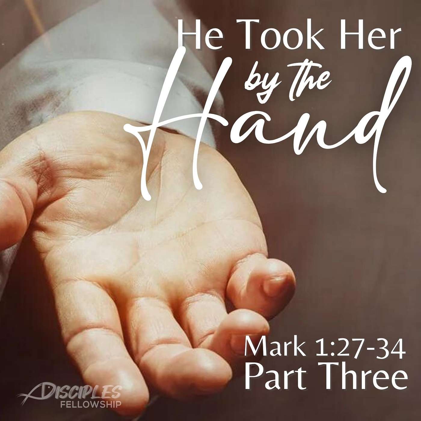 He Took Her by the Hand, Part 3; Mark 1:27-34