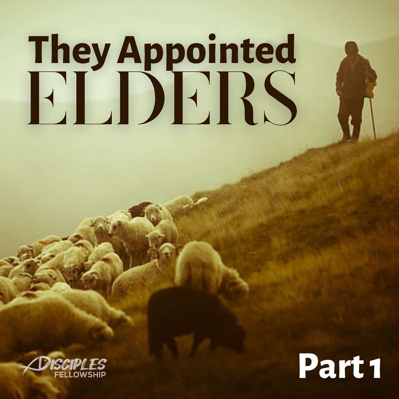 They Appointed Elders in Every Church, Part 1
