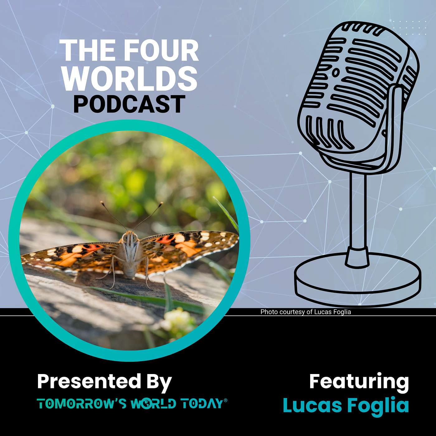 Constant Bloom: Following the World’s Longest Butterfly Migration with Lucas Foglia