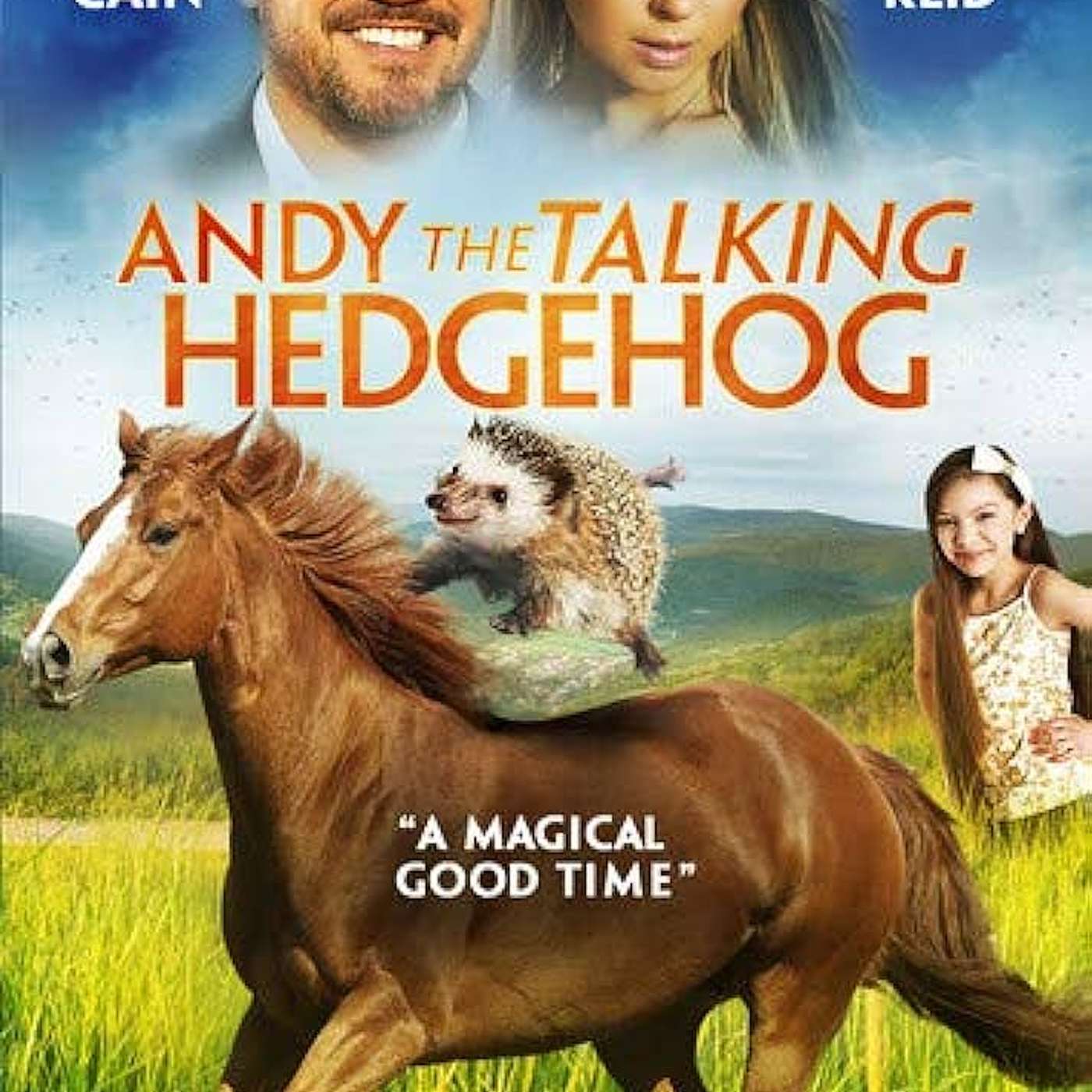 Andy the Talking Hedgehog