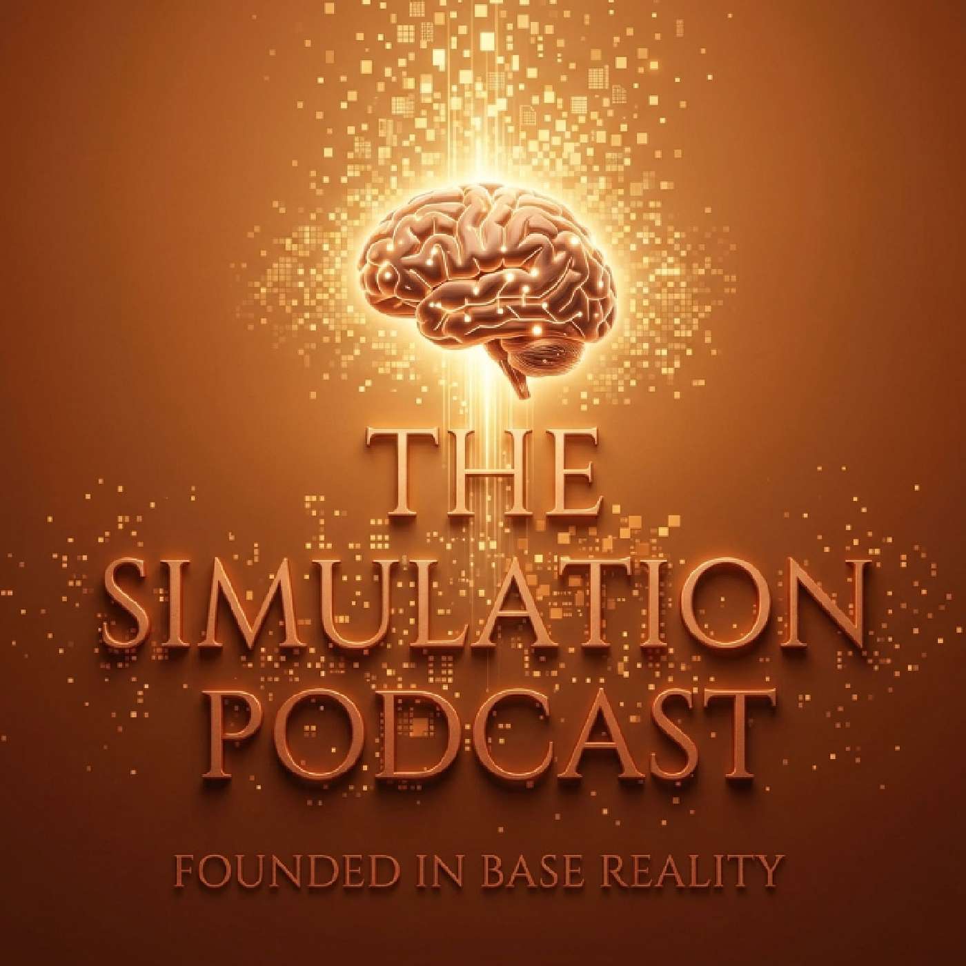 The Simulation Podcast