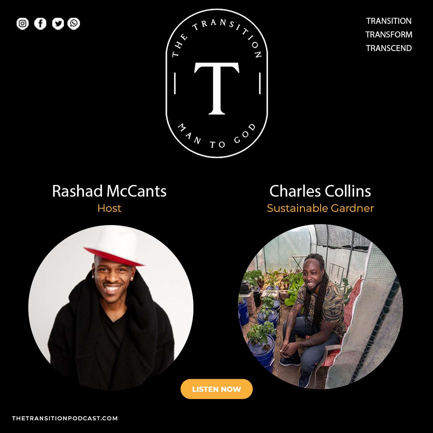 The Transition Podcast