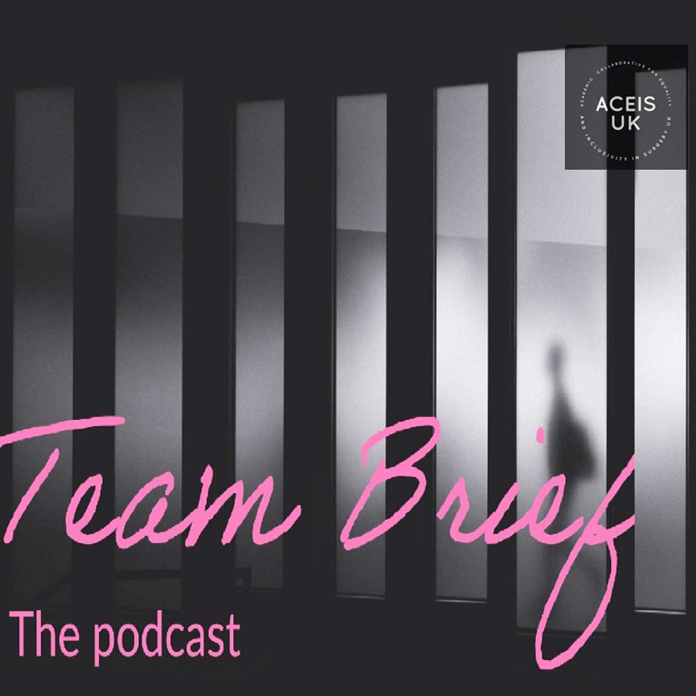 Team Brief