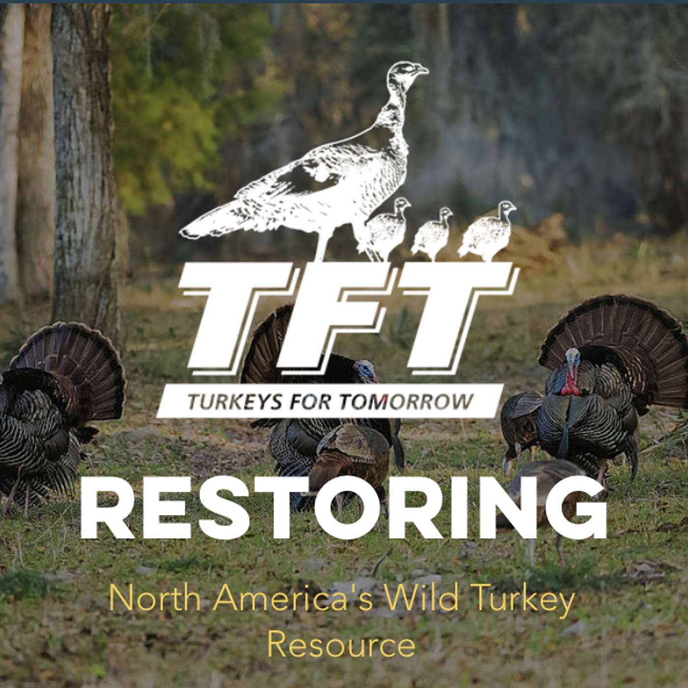 Talk About It Outdoors Podcast