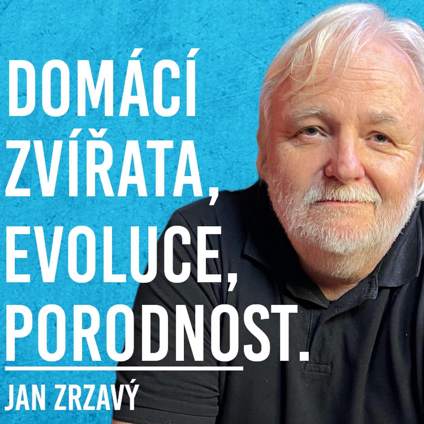 Pavel Mirovský Podcast