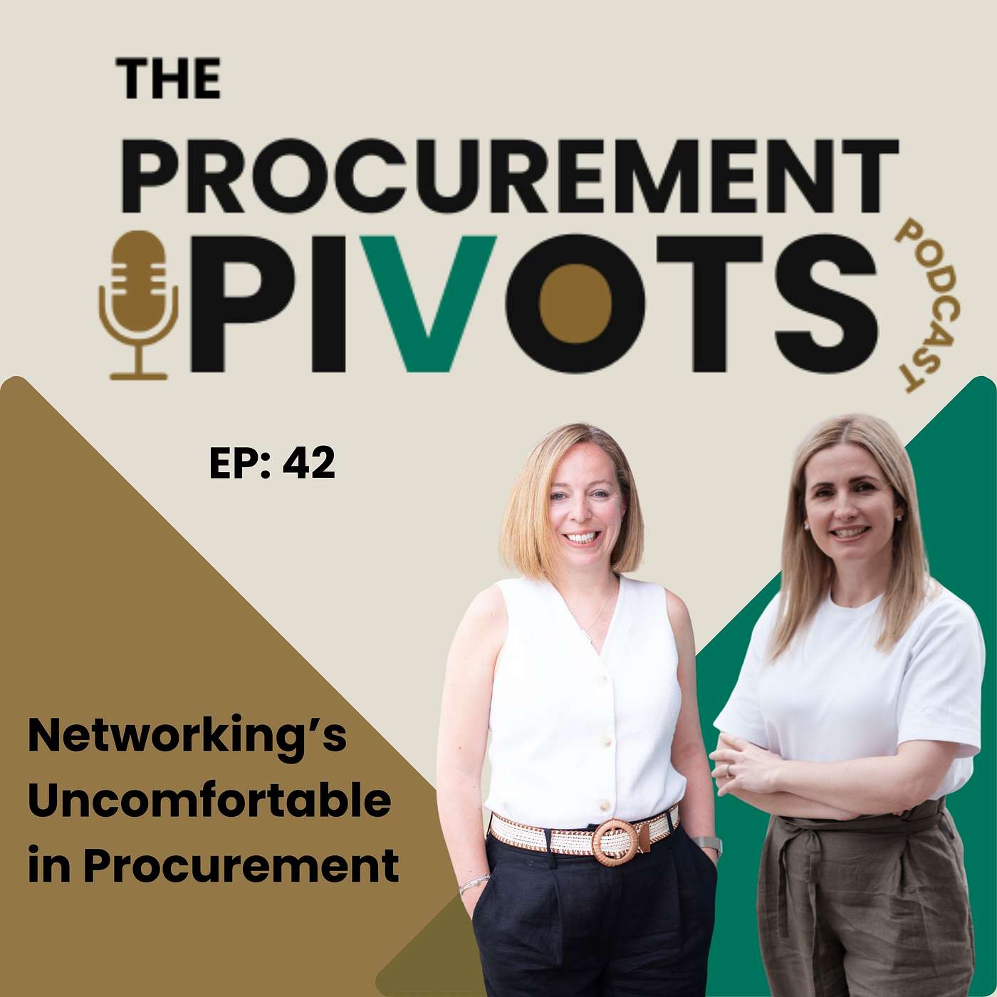 EP 42: When Did Networking Become So Uncomfortable in Procurement Careers?