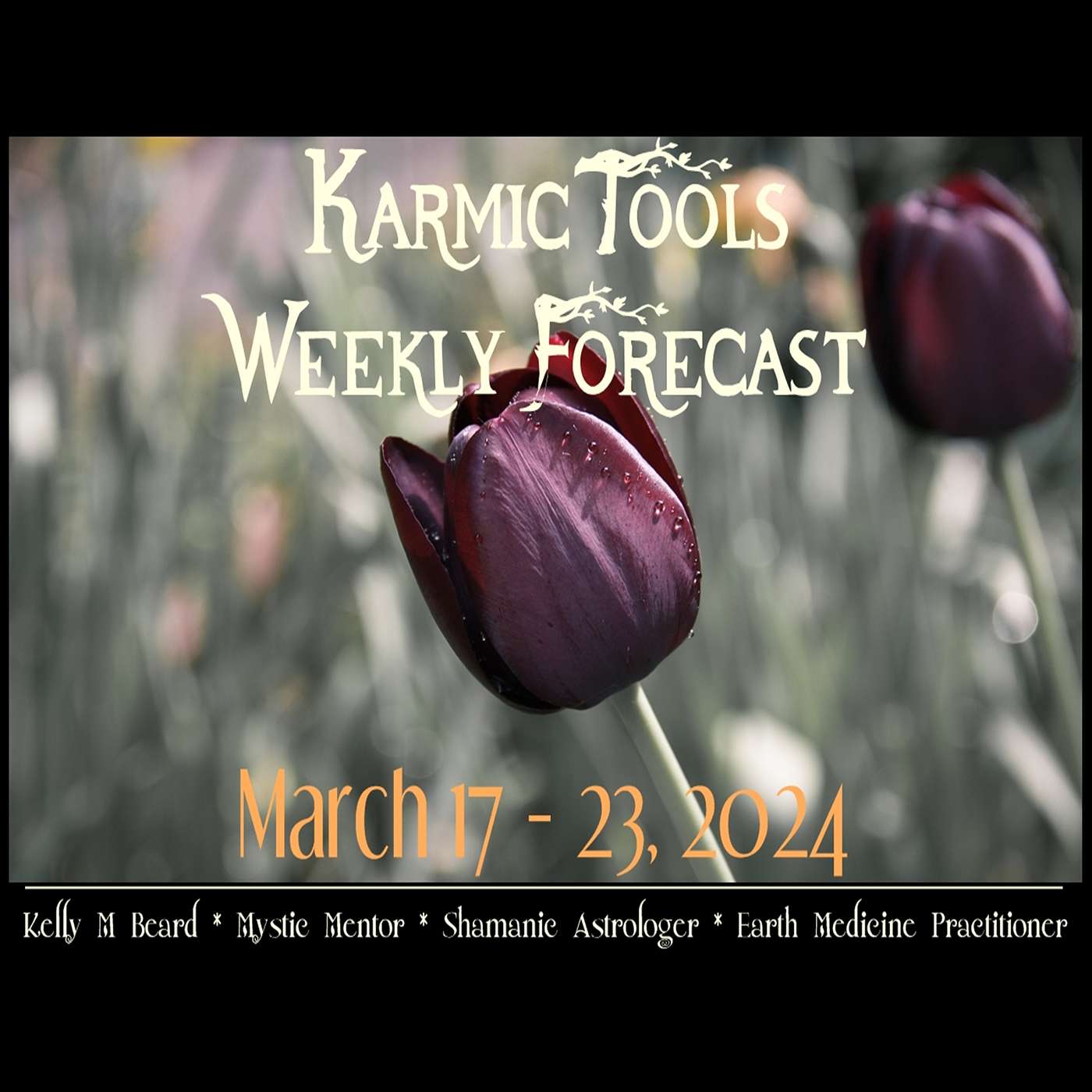 March 17 - 23, 2024 :: KarmicTools Weekly Forecast :: Events + Resources