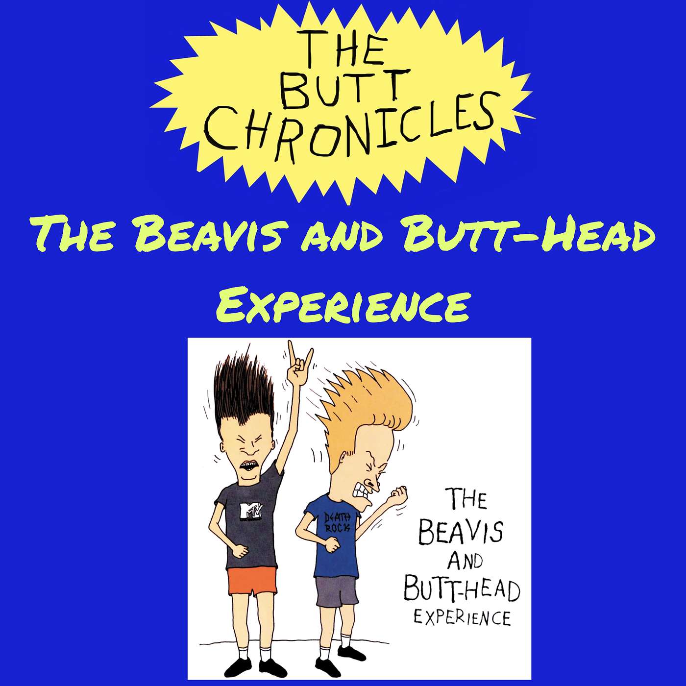 The Beavis and Butt-Head Experience | History and Album Review