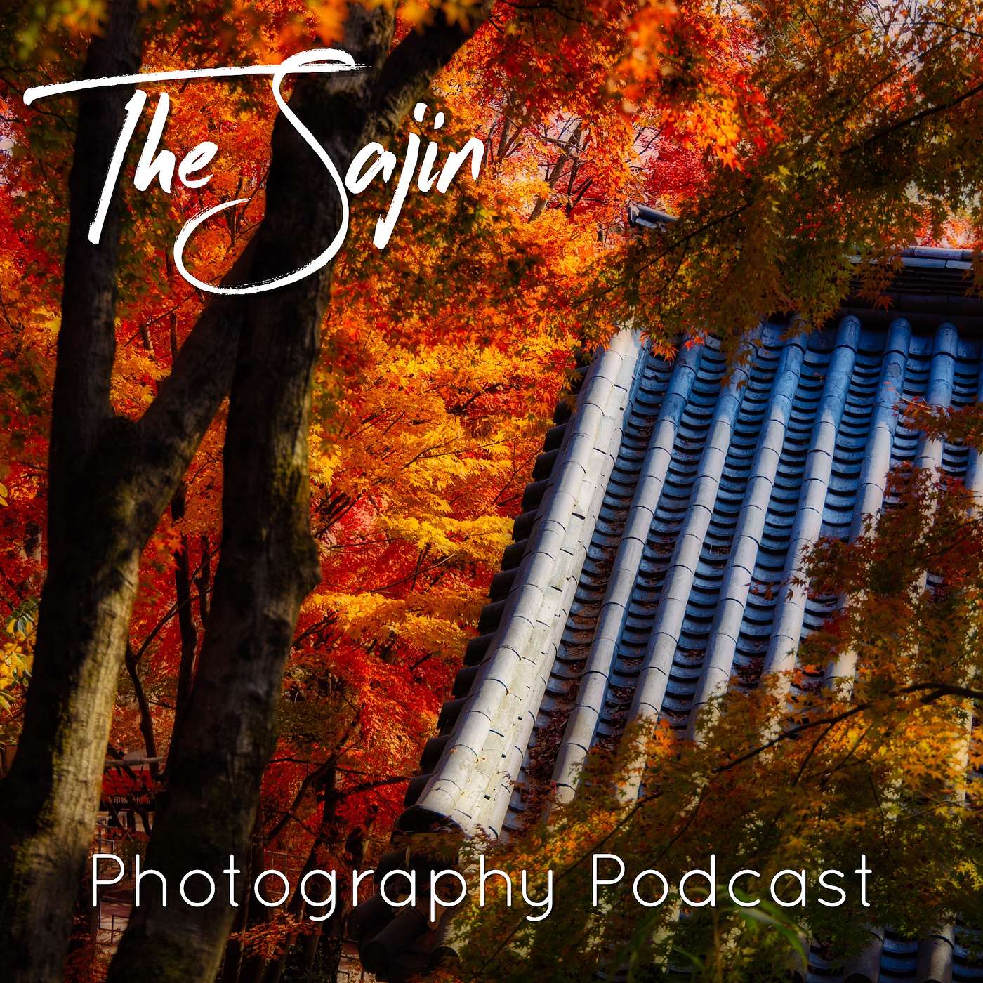 Season 3 - Episode 12: Fall in Korea
