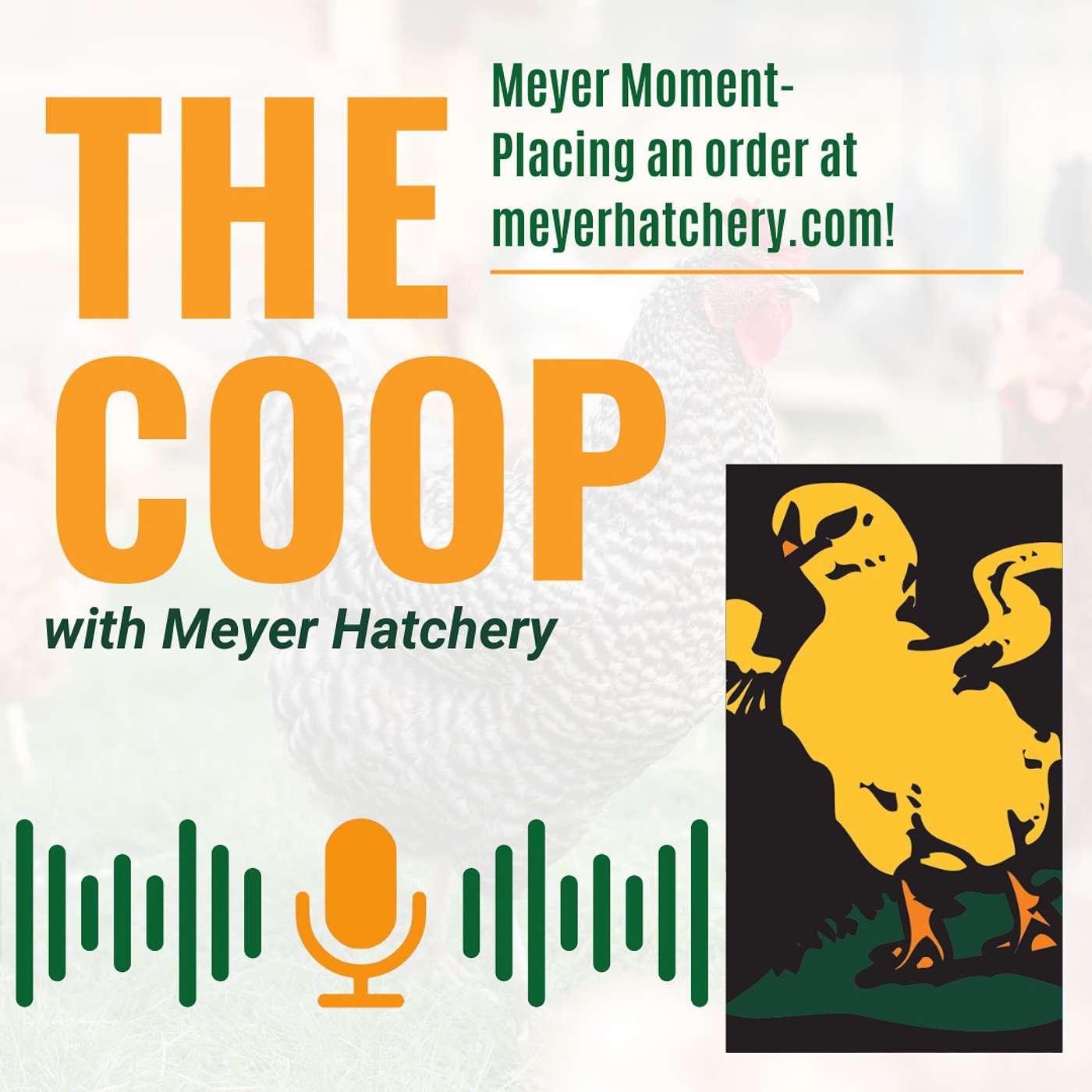 Placing Your Order at Meyer Hatchery!
