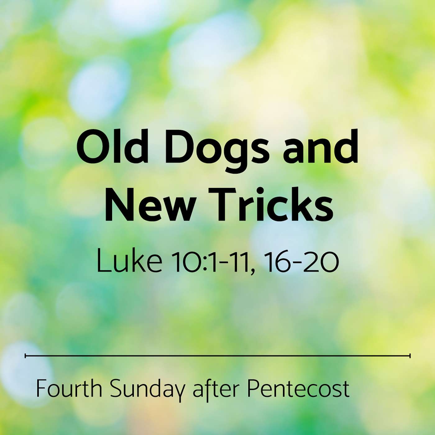 Old Dogs and New Tricks