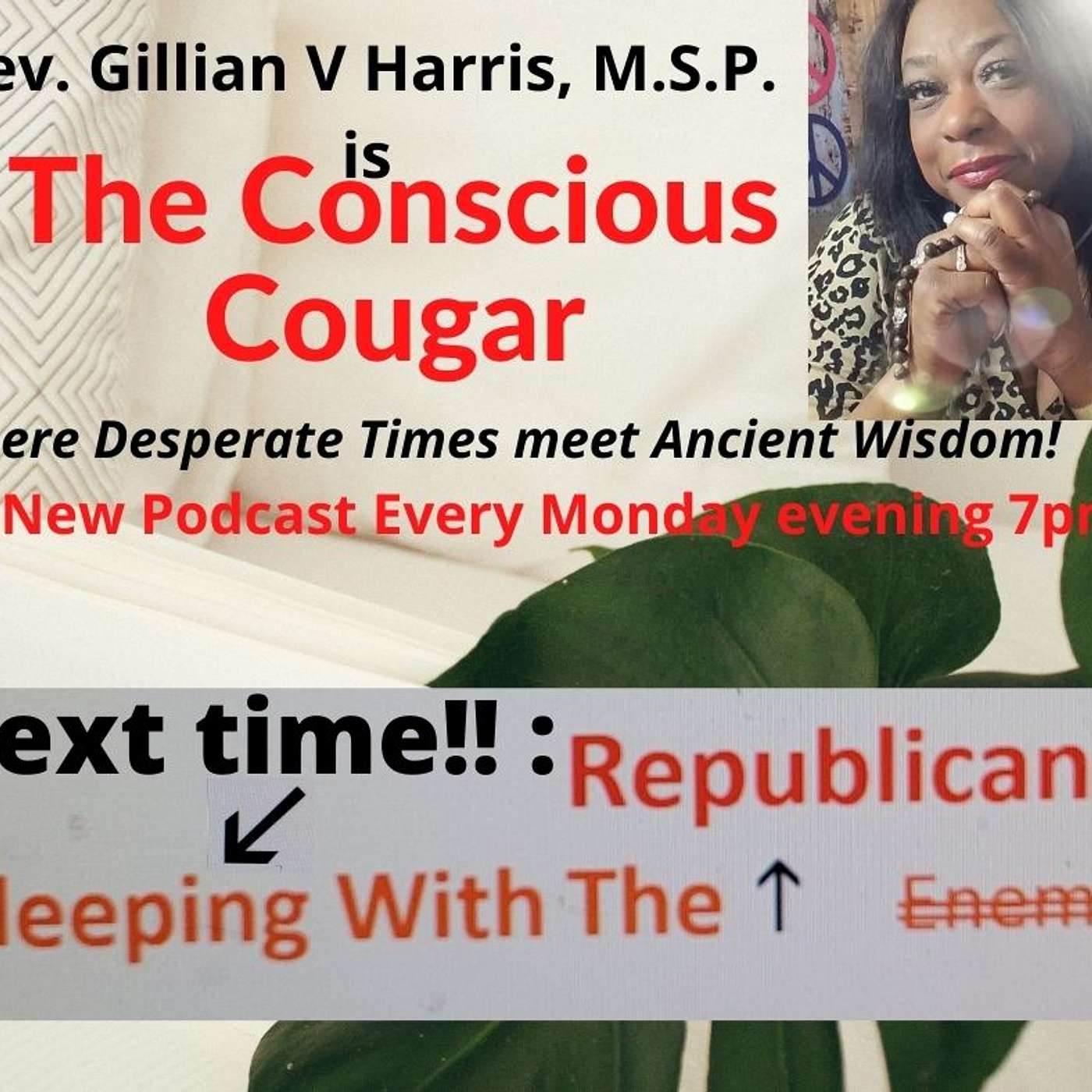 The Conscious Cougar