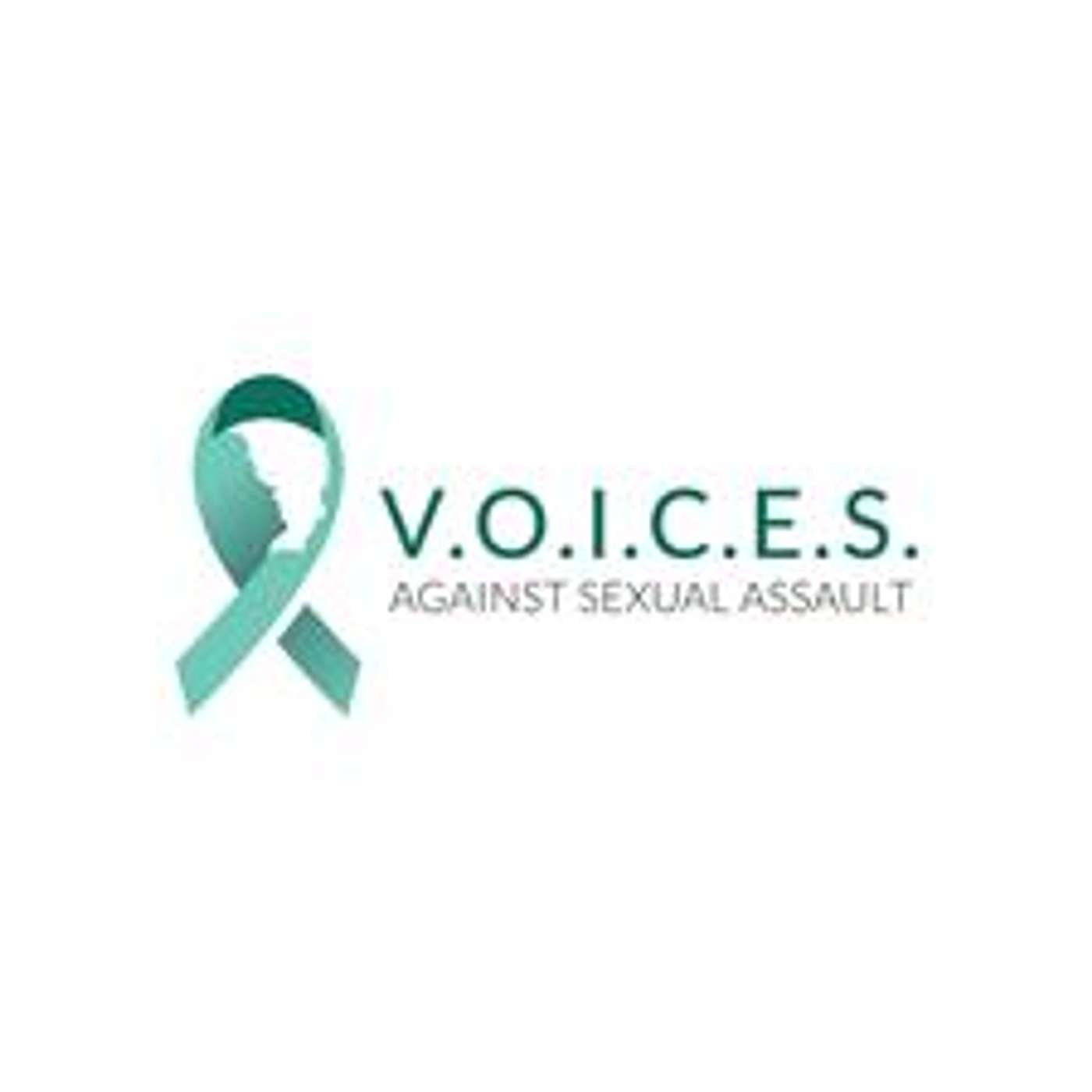 Combat Veteran Christy Hinnant Founder, CEO, and Clinical Director of Voices Against Sexual Assault