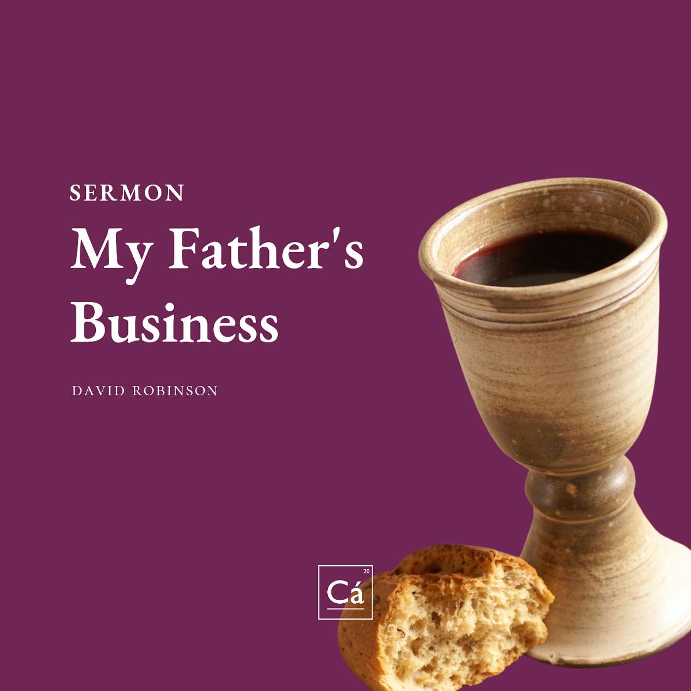 My Father's Business | Dr. David Robinson