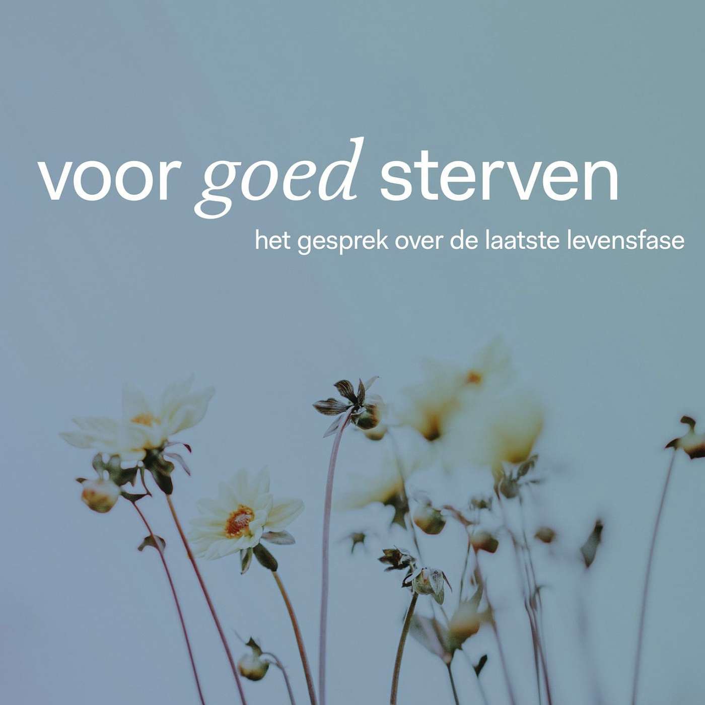 &MAES podcasts