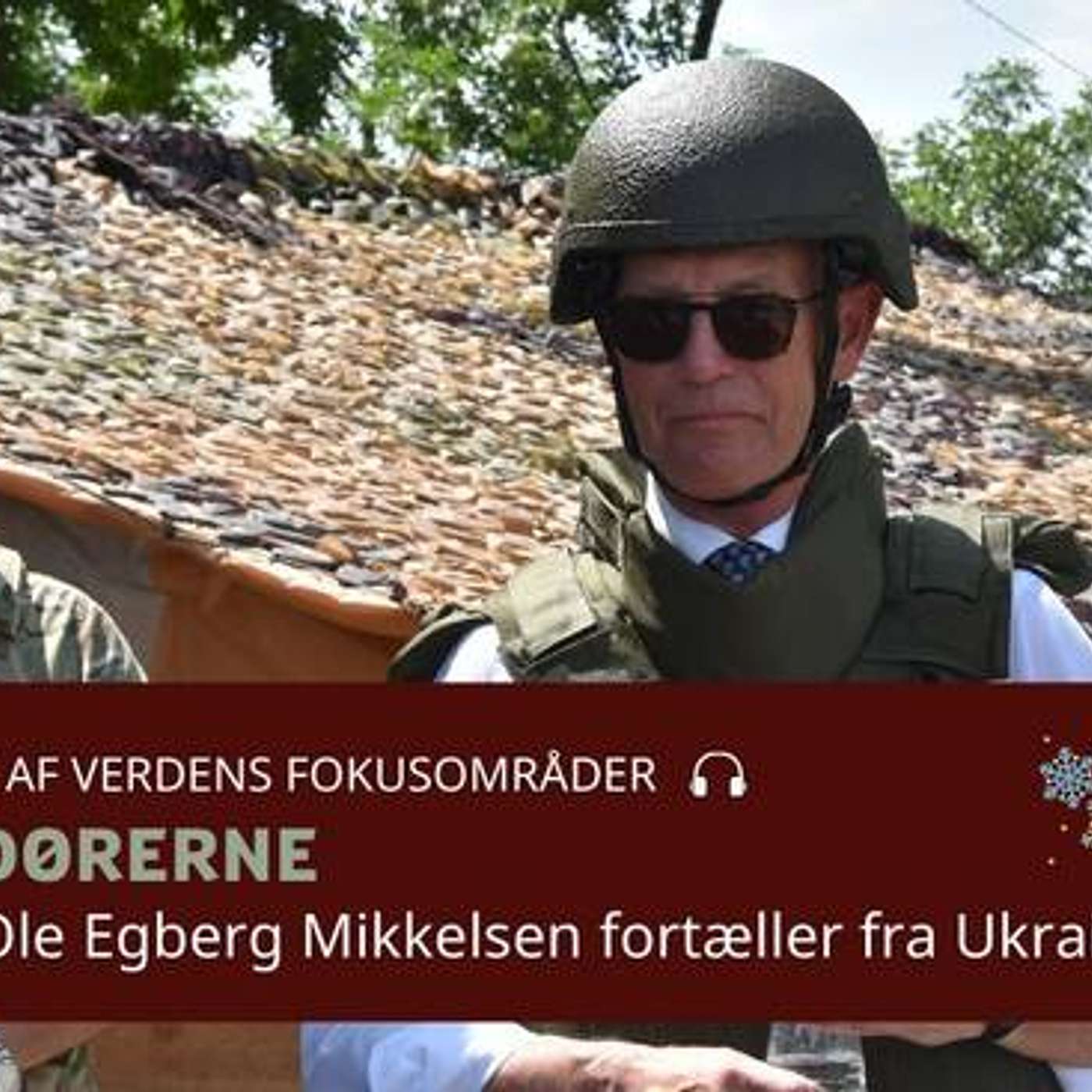 Ambassadørerne