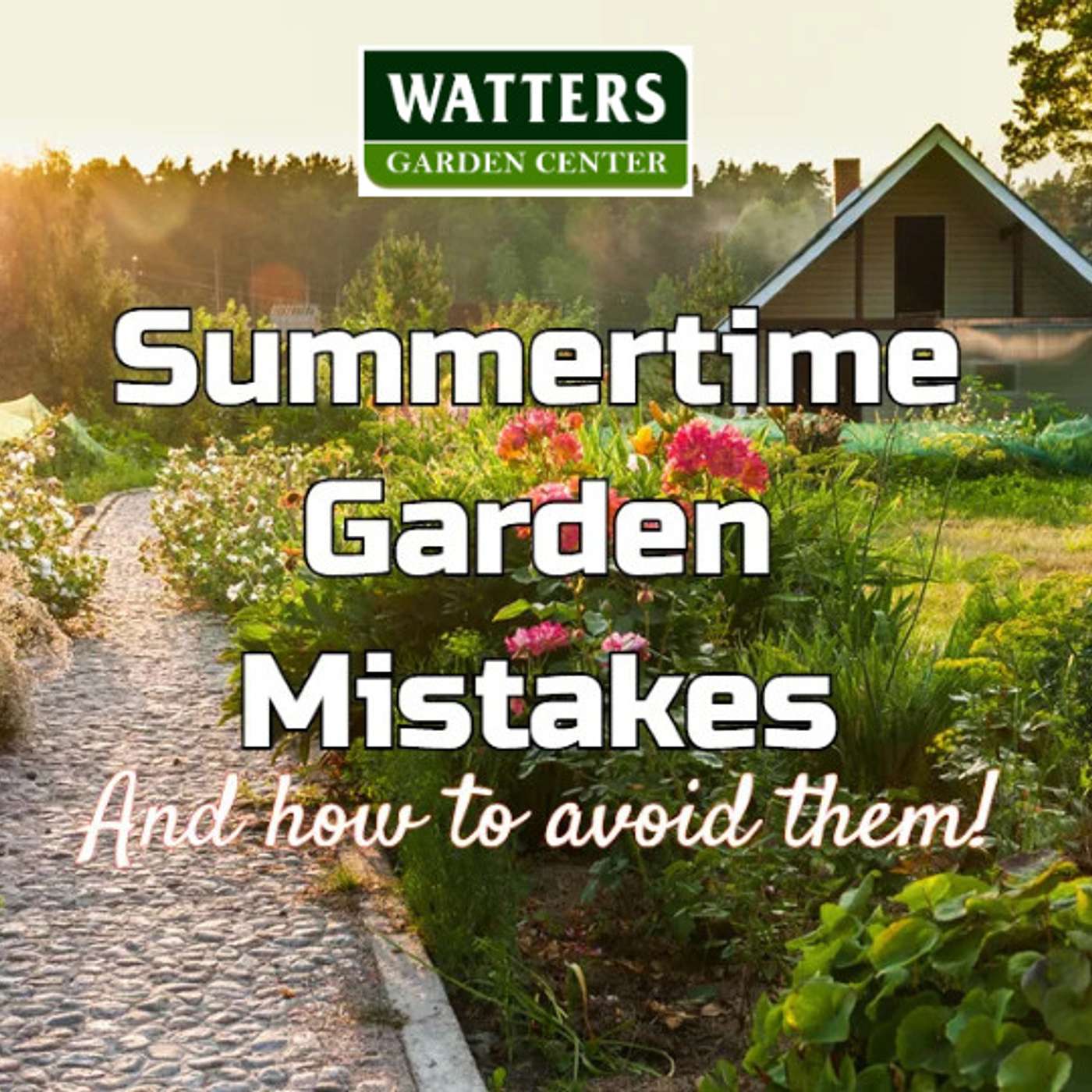 Summer Gardening Mistakes to Avoid