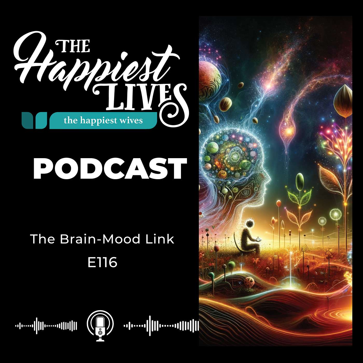 E116: The Brain-Mood Link