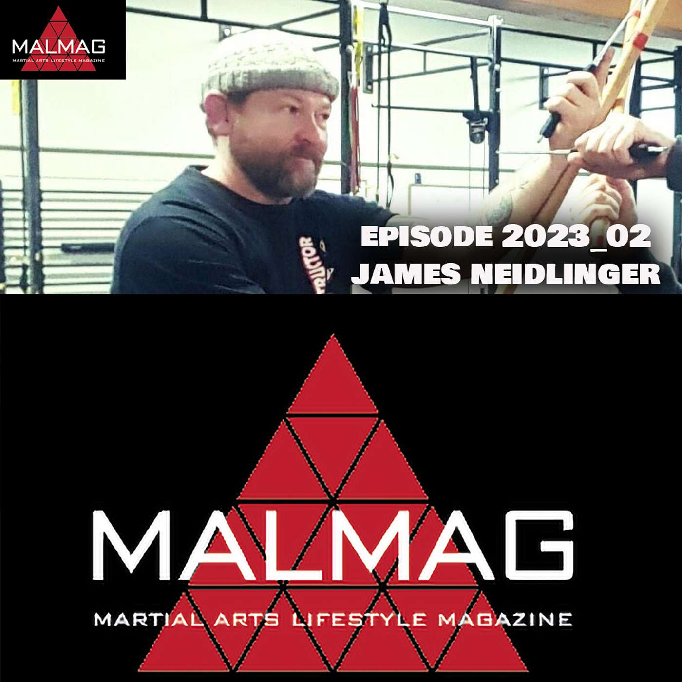 The Martial Arts Lifestyle Podcast