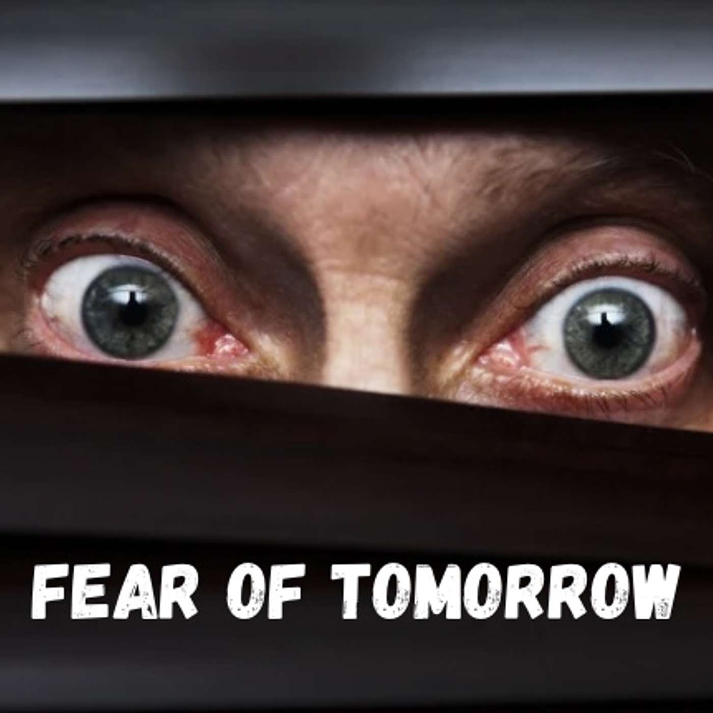 Fear of tomorrow episode artwork