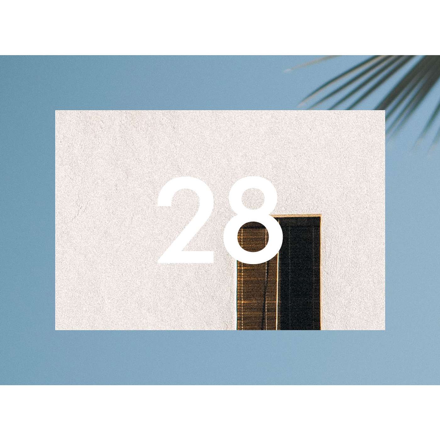 28