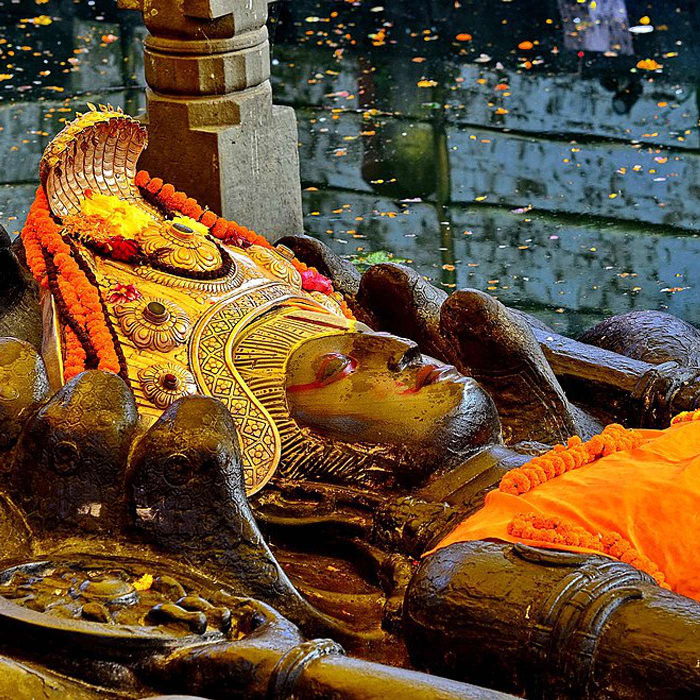 Kerry Shamblin Vedic Astrology