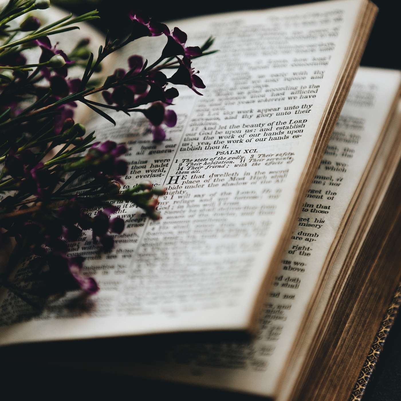 Edification, Evangelism, and Exhortation - Part 1 episode artwork