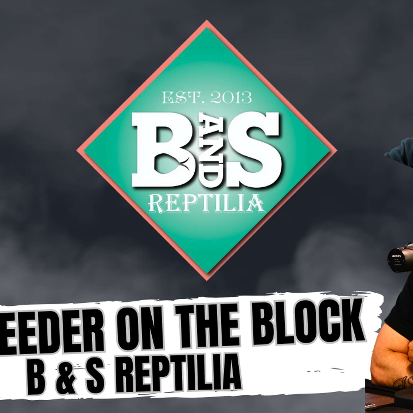 Why Keeping & Breeding Multiple Species Is Better Than Just Ball Pythons | NBB Live