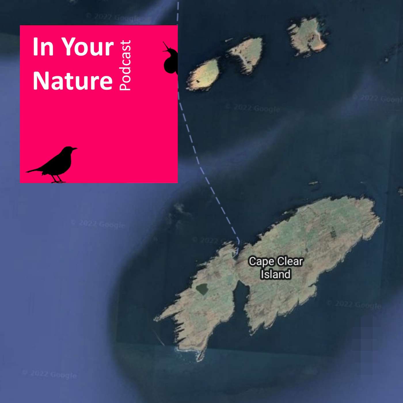 In Your Nature